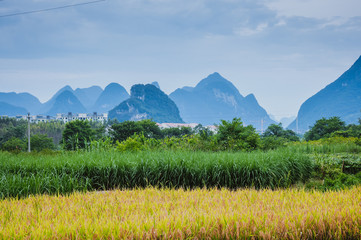 宏观经济要闻