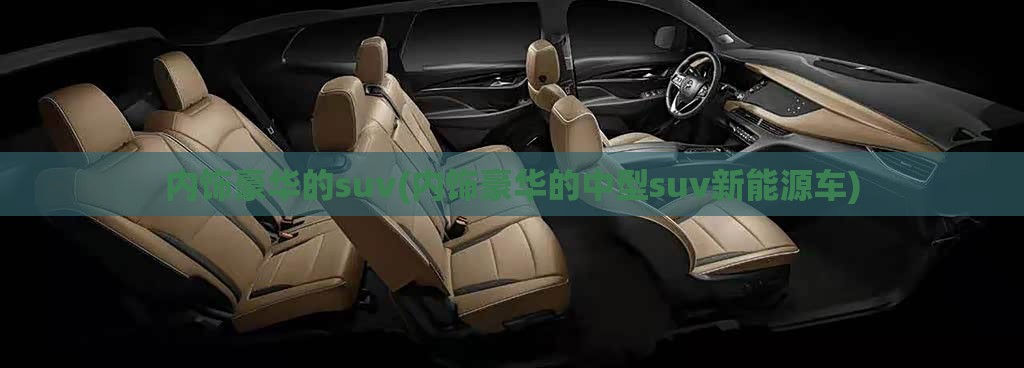 内饰豪华的suv(内饰豪华的中型suv新能源车)