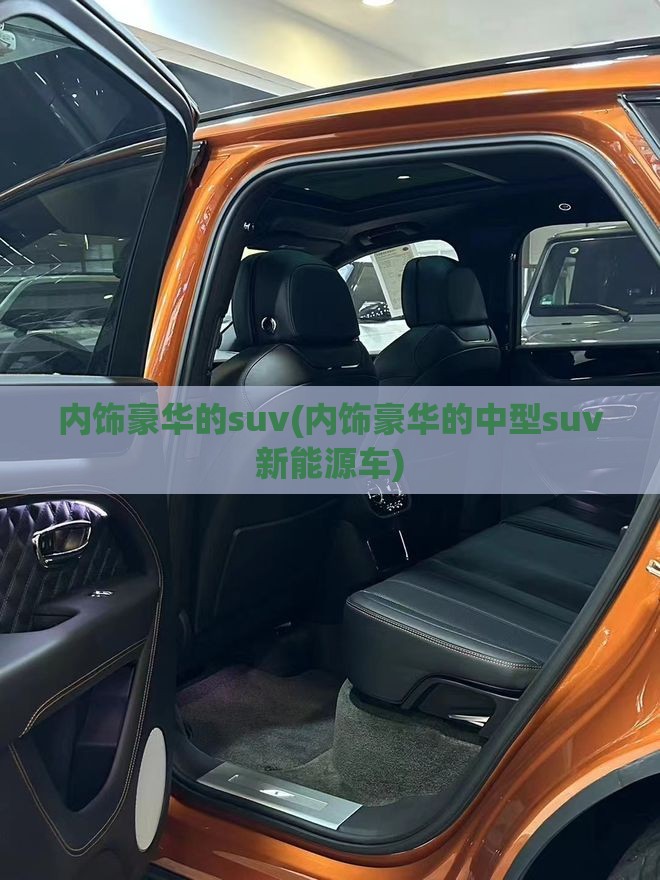 内饰豪华的suv(内饰豪华的中型suv新能源车)