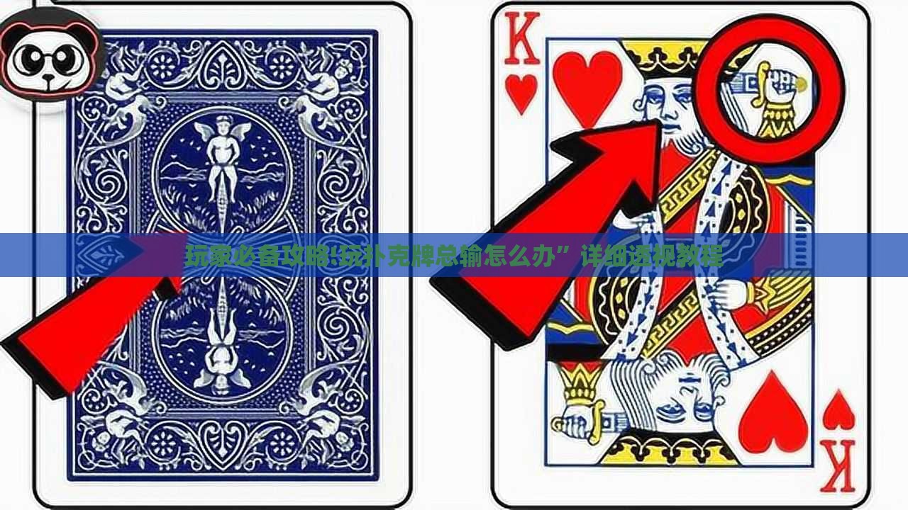 玩家必备攻略!玩扑克牌总输怎么办	”详细透视教程