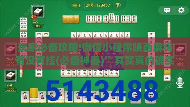 玩家必备攻略!微信小程序陕西麻将有没有挂(必备神器)”其实真的确实有挂
