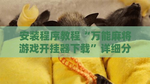 安装程序教程“万能麻将游戏开挂器下载”详细分享装挂步骤
