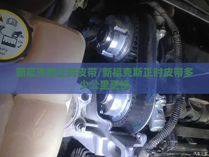 安装程序教程“徽乐麻将可以开挂吗安卓	”开挂辅助透视教程