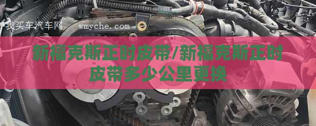 新福克斯正时皮带/新福克斯正时皮带多少公里更换