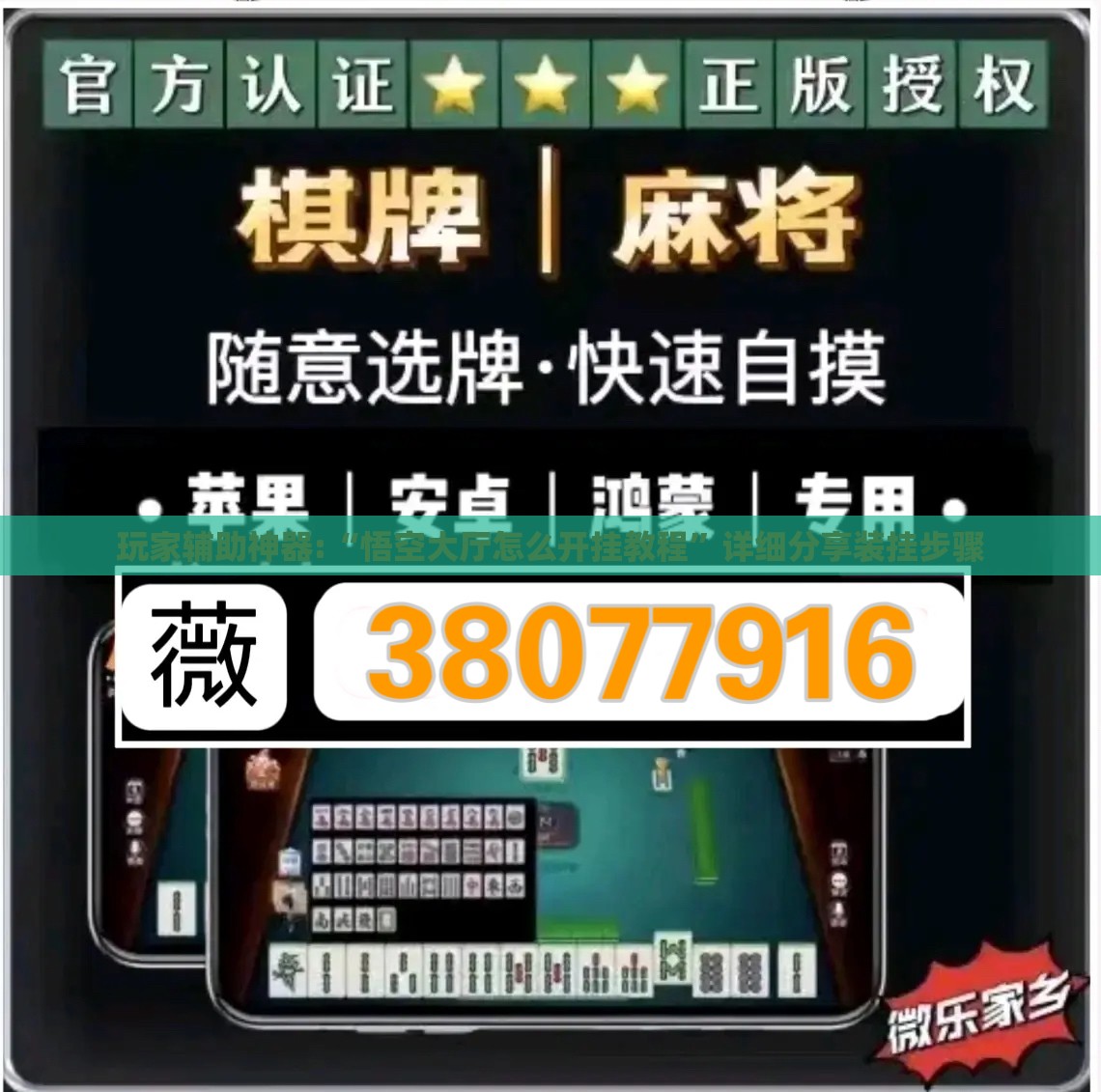 玩家辅助神器:“悟空大厅怎么开挂教程”详细分享装挂步骤