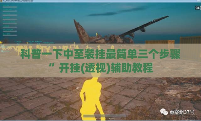 债券市场动态