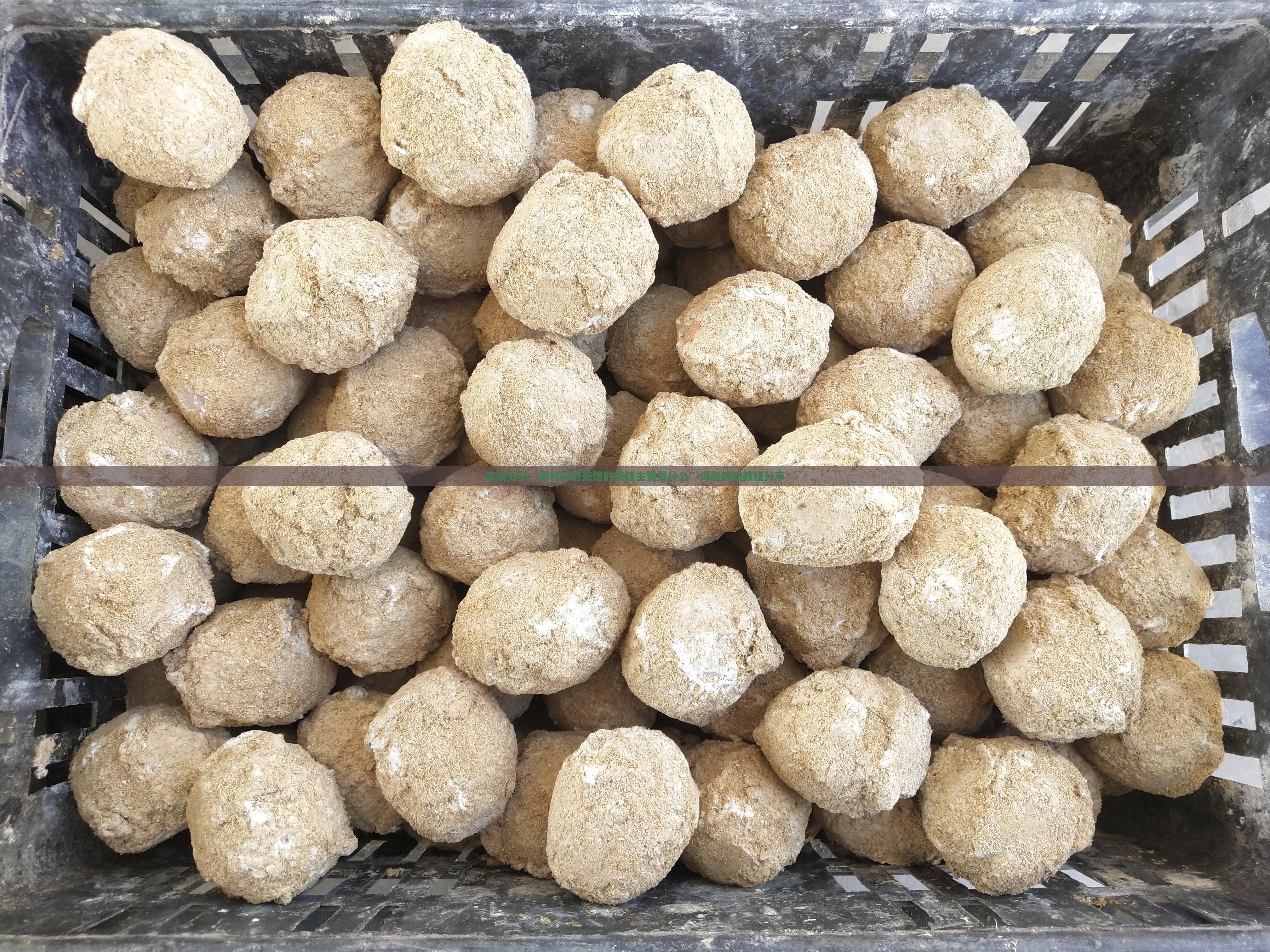 实测分享“明代以后茶馆的茶挂主要是什么”详细辅助教程分享