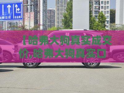 债券市场动态