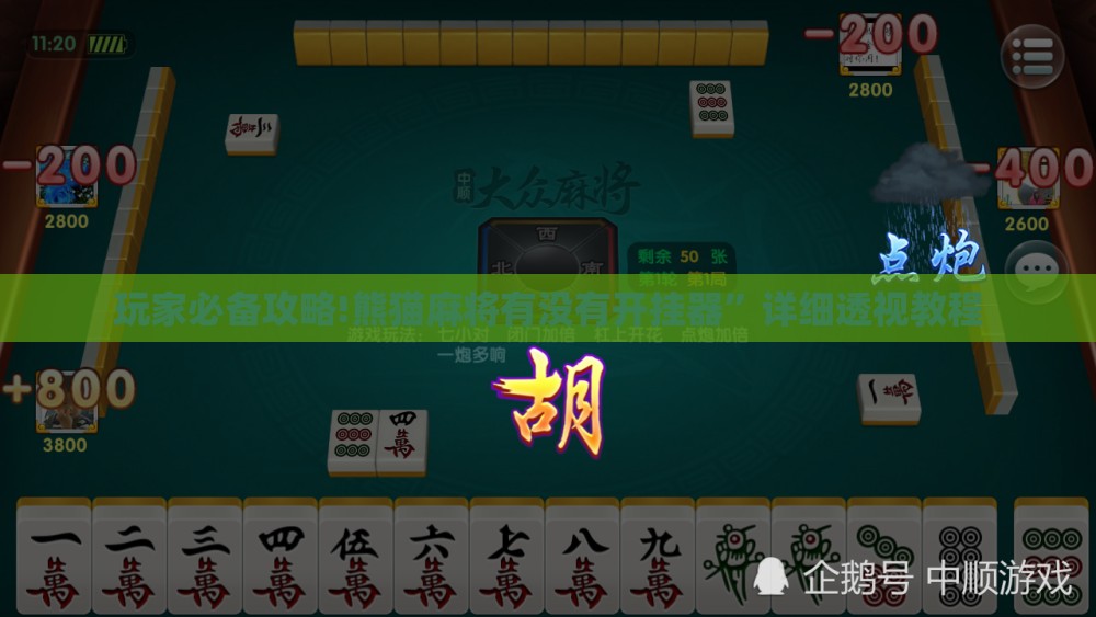 玩家必备攻略!熊猫麻将有没有开挂器”详细透视教程