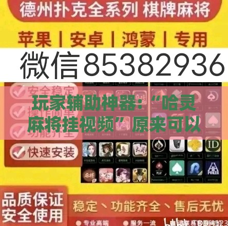 玩家辅助神器:“哈灵麻将挂视频	”原来可以开挂