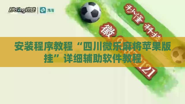安装程序教程“四川微乐麻将苹果版挂	”详细辅助软件教程