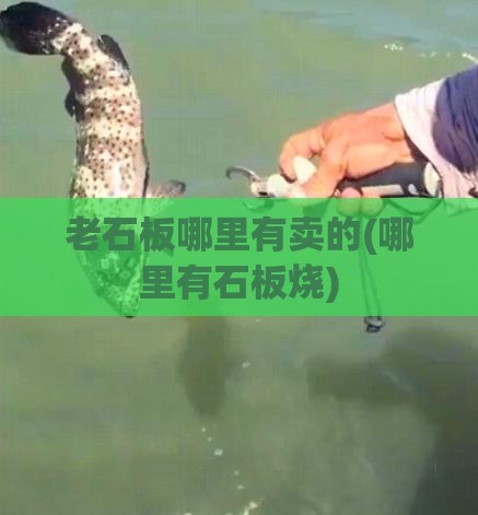 ‌房产财经观察‌